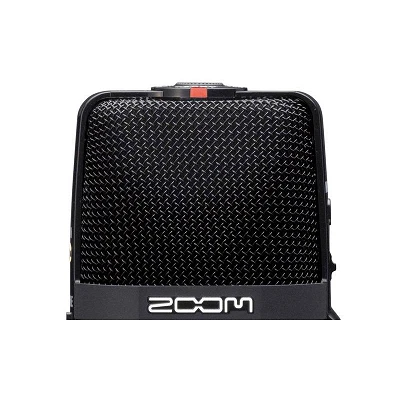 Zoom H2n Mic