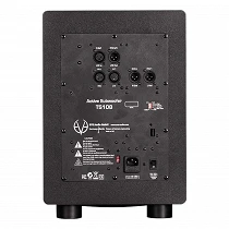 Eve Audio TS 108 Rear