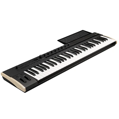 Korg Keystage 61 Angle