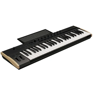 Korg Keystage 49 Angle