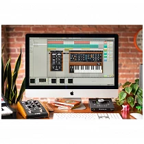 Moog MoogerFooger Software MF-104S Analog Delay