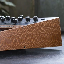 Sequential Prophet 10 Special Edition