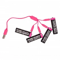 Ernie Ball Batería AA USB-C Recargable