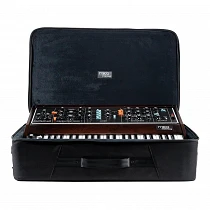Moog Model D SR Series Case
