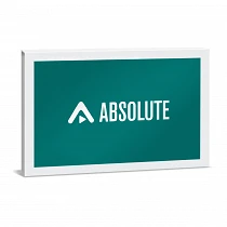 Steinberg Absolute 7