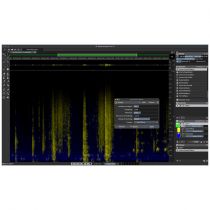 Steinberg SpectraLayers Pro 13