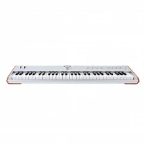 Arturia AstroLab 61 Silver front