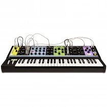 Moog Matriarch
