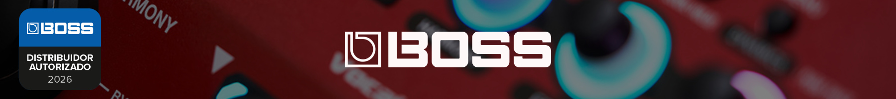 Boss Imatge marca.jpg