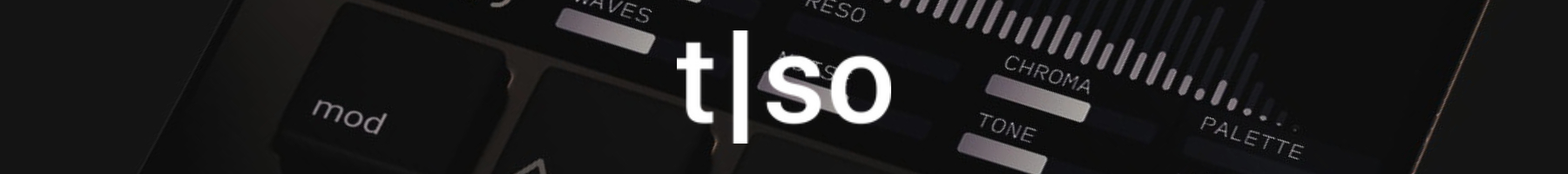 Torso Imatge marca.jpg